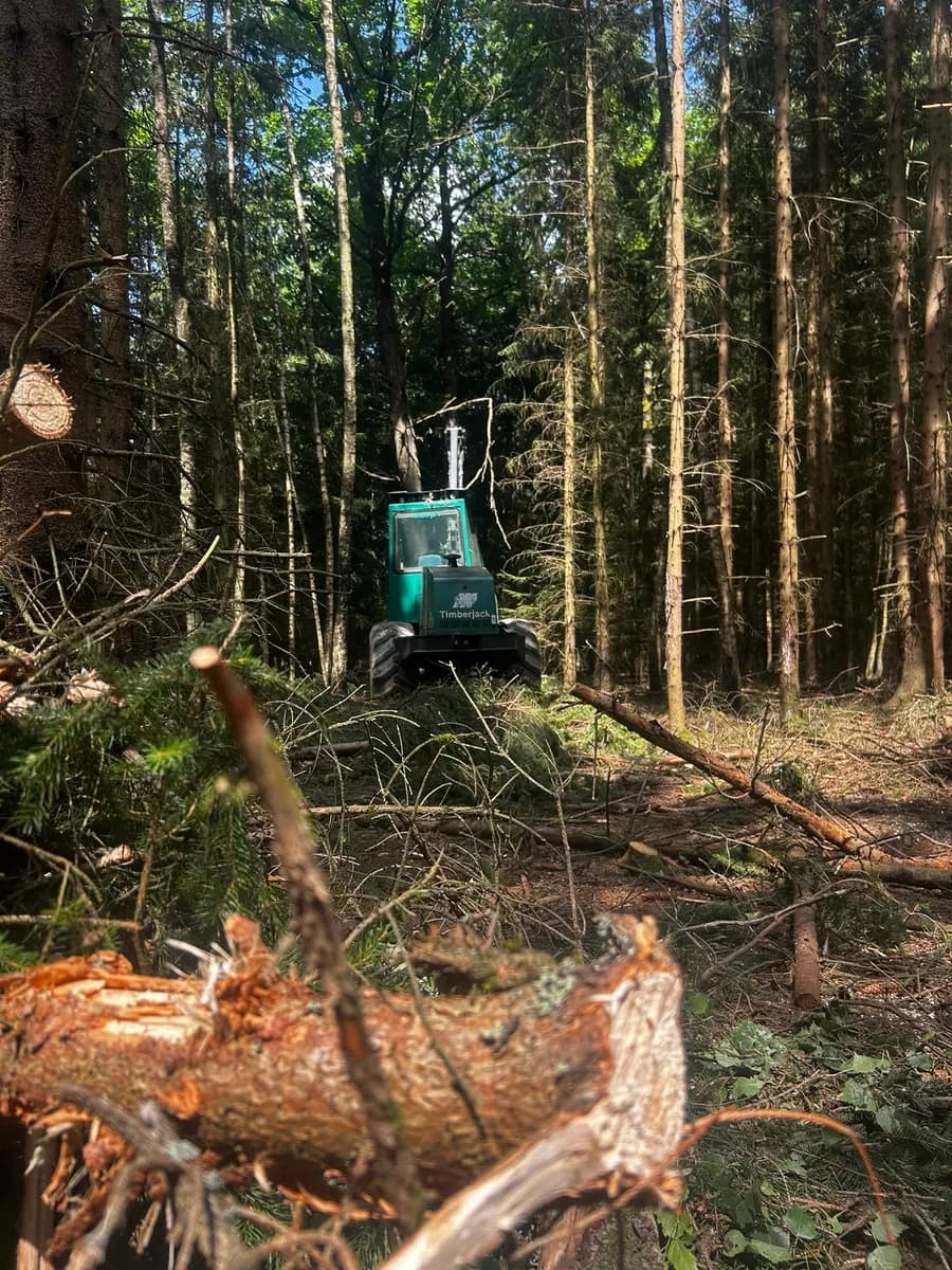 Harvestor Timberjack v lese
