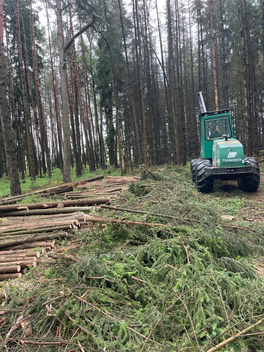 Timberjack v hustém smrkovém porostu