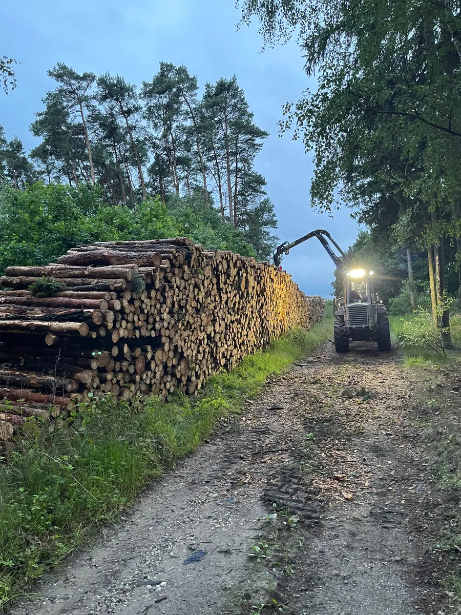 Večerní těžba — stroj se světly u hromady kulatiny